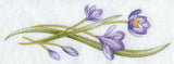 Colorful Crocuses Border