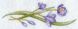 Colorful Crocuses Border