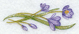 Colorful Crocuses Border