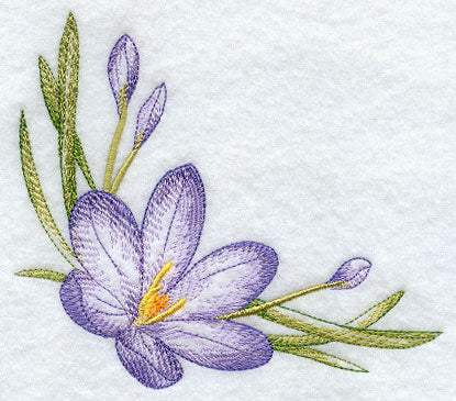 Colorful Crocuses Corner