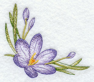 Colorful Crocuses Corner