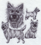 Cairn Terrier Sketch