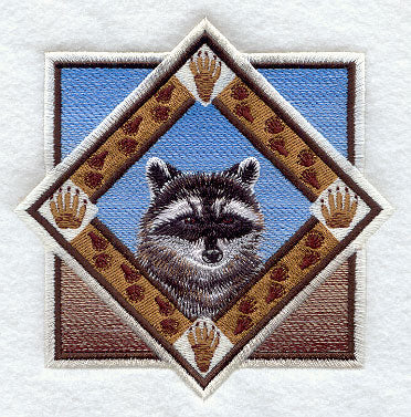 Raccoon Track Portrait