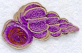Scalare Seashell