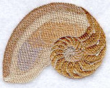 Pompilius Seashell