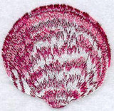 Bittersweet Seashell