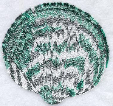 Bittersweet Seashell