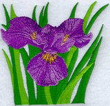 Vibrant Iris