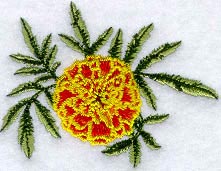 Marigold French Double