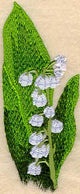 Lily Of The Valley