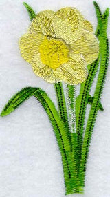 Daffodil