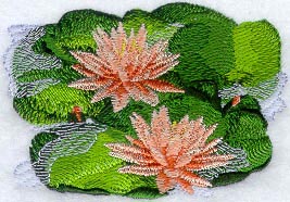 Froebelii Water Lily