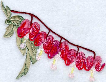 Bleeding Hearts Flower