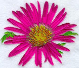 Tahoka Daisy
