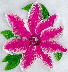 Clematis Bees Jubilee