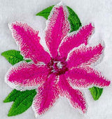 Clematis Bees Jubilee