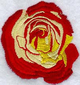 Red & Yellow Rose