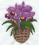 Cattleya Little Susie Orchid