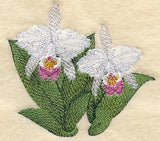 Cattleya Mendelli Orchid