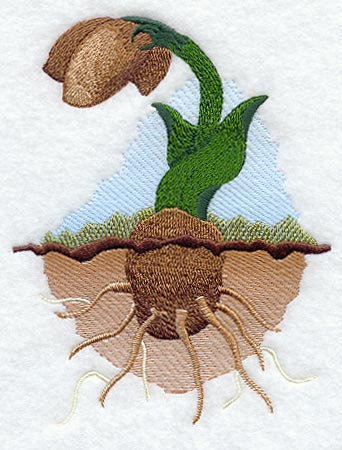 Fresh Starts - No Text