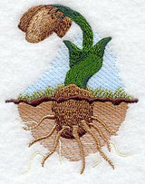 Fresh Starts - No Text