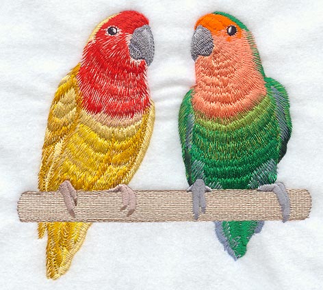 Peach Faced Lovebirds