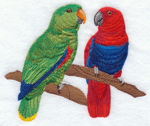 Eclectus Pair