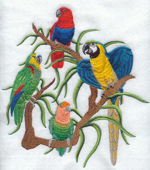 Tropical Bird Scene