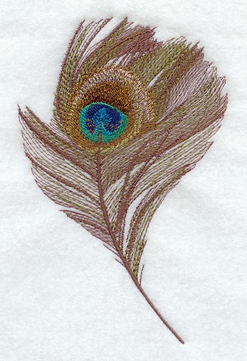 Peacock Feather