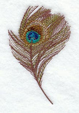 Peacock Feather