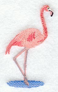 Flamingo