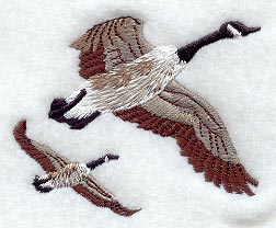Flying Canada Geese - Pair