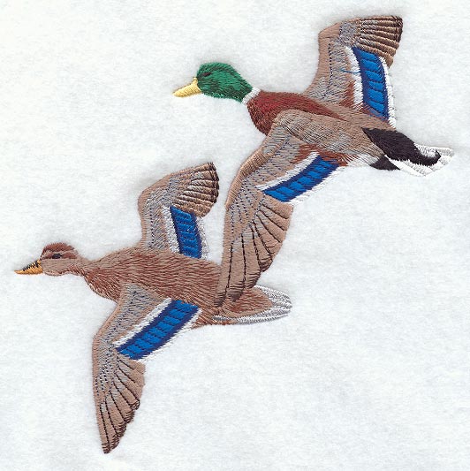 Flying Mallard Pair