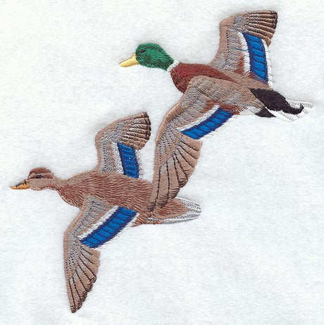Flying Mallard Pair