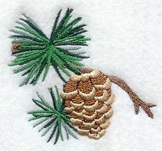 Pine Cone