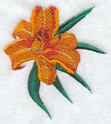Daylily