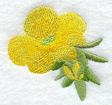 Buttercup Blossom