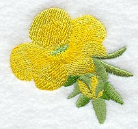 Buttercup Blossom