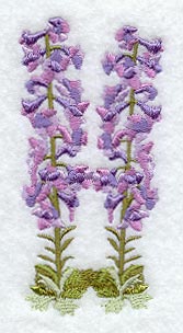 Delphinium