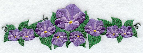 Morning Glory Border