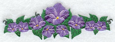 Morning Glory Border
