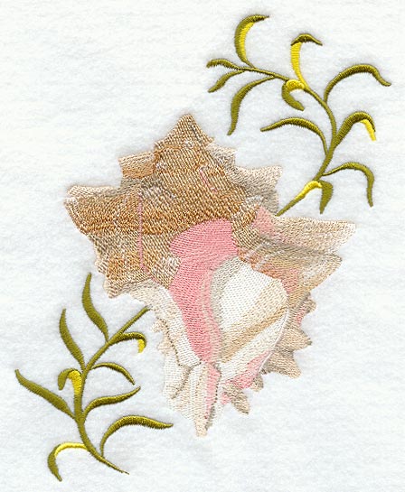 Cabbage Murex Seashell & Seagreen