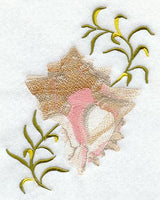 Cabbage Murex Seashell & Seagreen