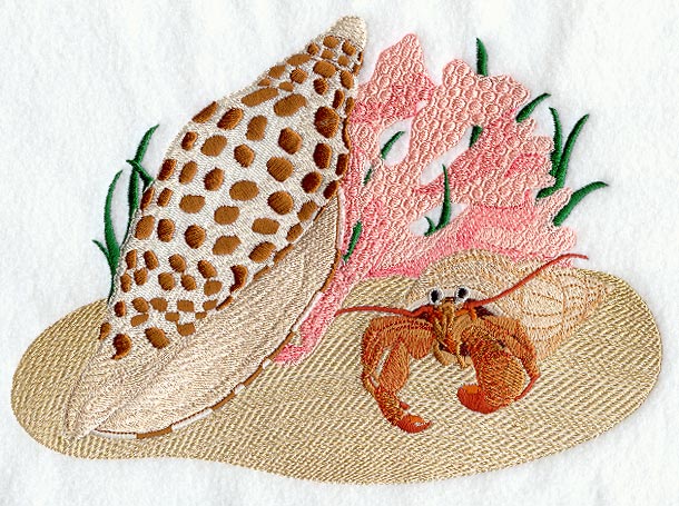 Junonia Seashell Scene