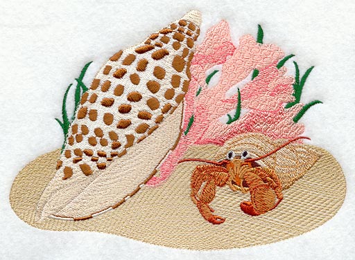 Junonia Seashell Scene