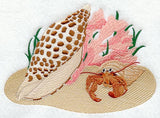 Junonia Seashell Scene