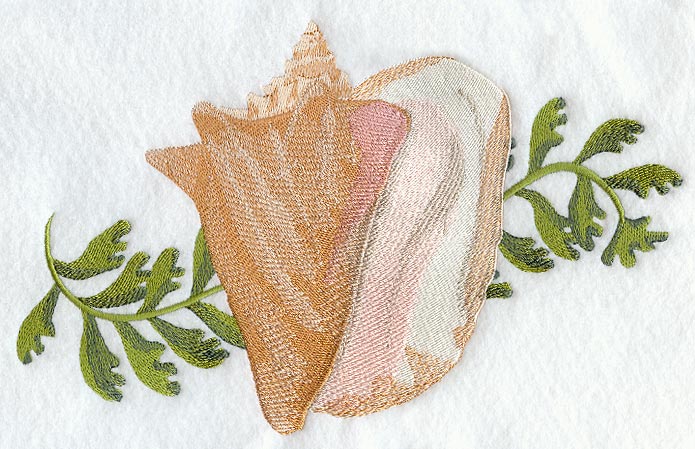 Conch Seashell & Seagreen