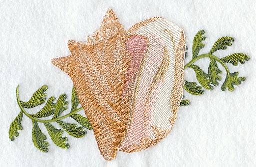 Conch Seashell & Seagreen