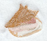 Conch Seashell