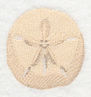 Sand Dollar